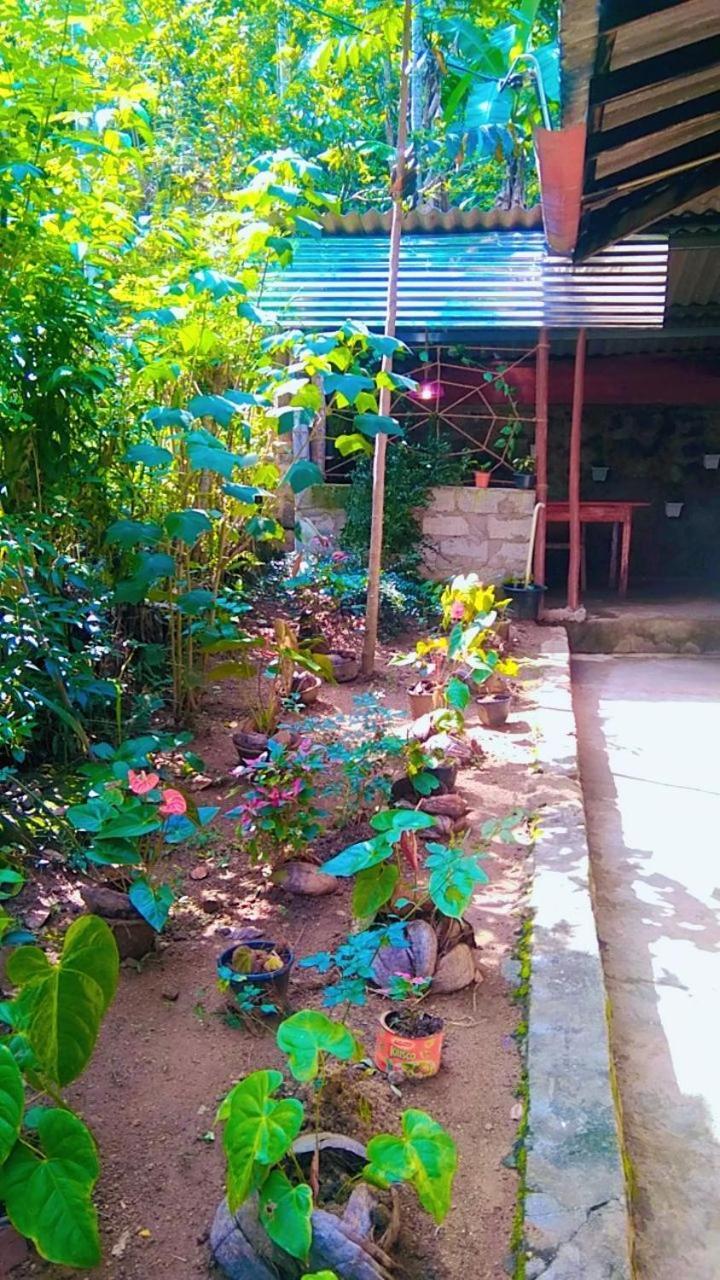 Ella Kumi Hostel Εξωτερικό φωτογραφία